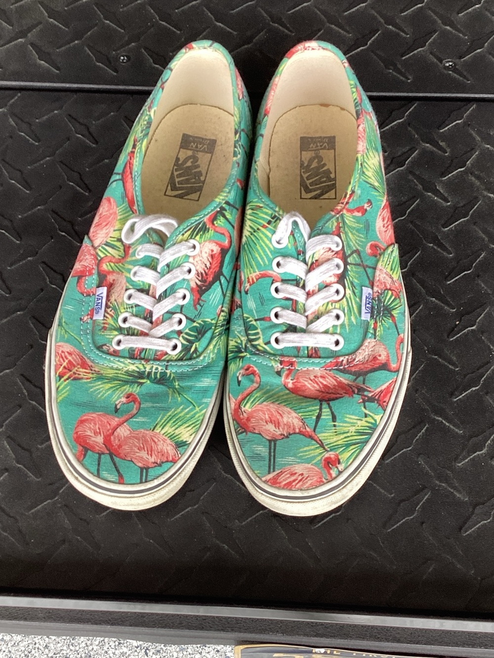 Vans Women's Flamingo Canvas Sneakers - Teal & Pink